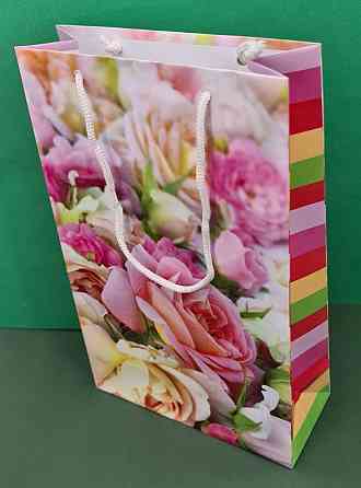 Паперовий пакет подарунковий Середній 17/26/8 (артSV-099) (12 шт.) Харків