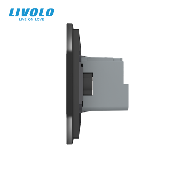 Розумна розетка EC з заземленням LIVOLO чорна матова скло Коломия