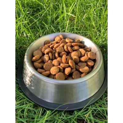 Сухой корм для собак Пан Пес Лайт 10 кг (4820111140213) Винница