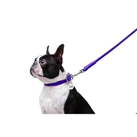 Повідець для собак шкіряний WAUDOG Glamour круглий, Д 8 мм, Дов 122 см фіолетовий Коломия