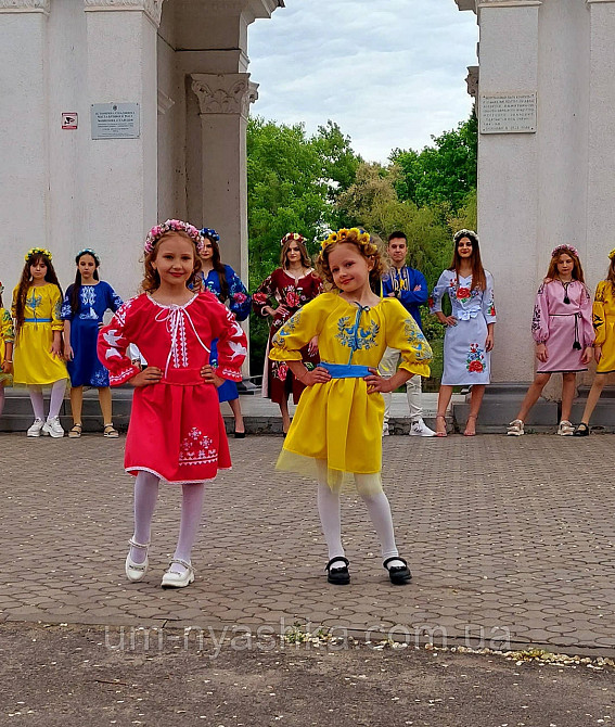 Сукня вишиванка жовто-синя Пташки патріоти Кривий Ріг - фото 3