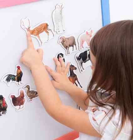 Набор магнитов Magdum 