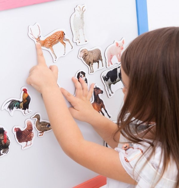 Набор магнитов Magdum 