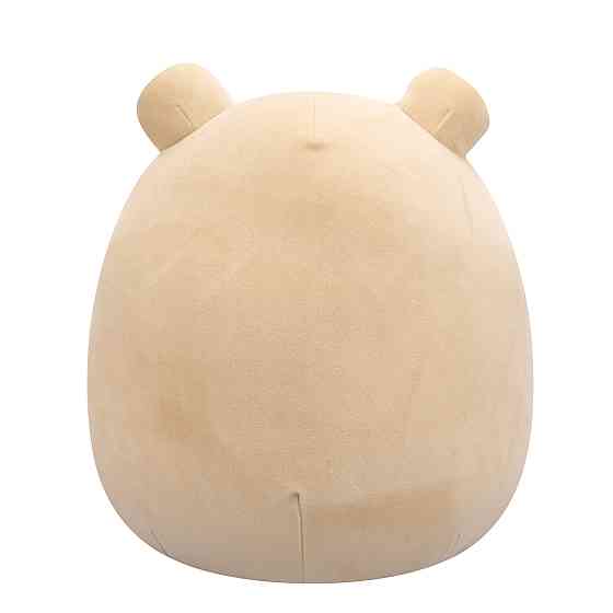 М'яка іграшка Squishmallows – Жабка Де Вітт (30 cm) Днепр