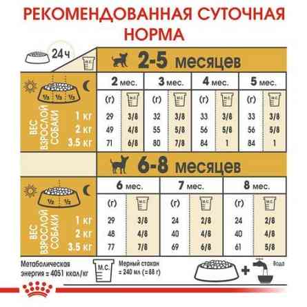 Royal Canin Chhuahua Puppy (Рояв Канін Чіхуахуа Паппі) сухий корм для цуценят 1.5 кг. Запоріжжя