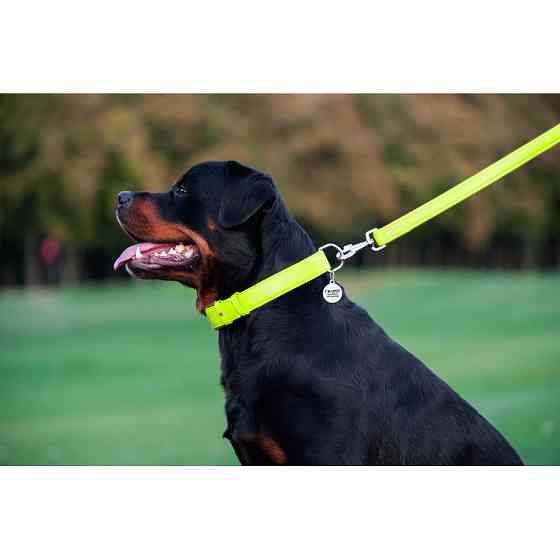 Повідець для собак шкіряний WAUDOG Glamour, Ш 25 мм, Дов 122 см салатовий Коломия