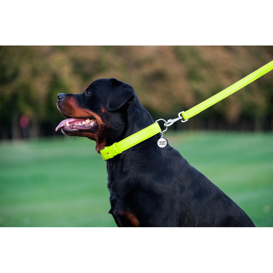 Повідець для собак шкіряний WAUDOG Glamour, Ш 25 мм, Дов 122 см салатовий Коломия - фото 2