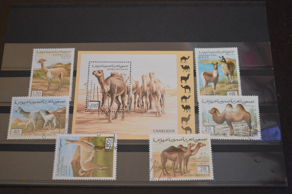 Марки. Серия. Сахара (гаш.) Полтава - изображение 1