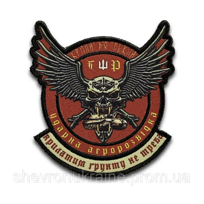 Печатный шеврон (Форма контурная. На липучке) Размер 10x9.5см Киев - изображение 8