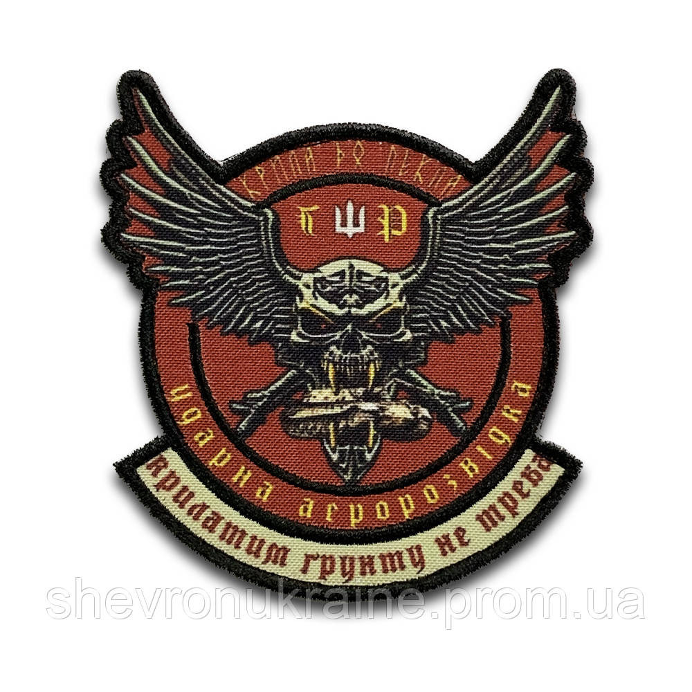 Друкований шеврон ударна аеророзвідка (Форма контурна. На липучці) Розмір 10x9.5см Київ - фото 8