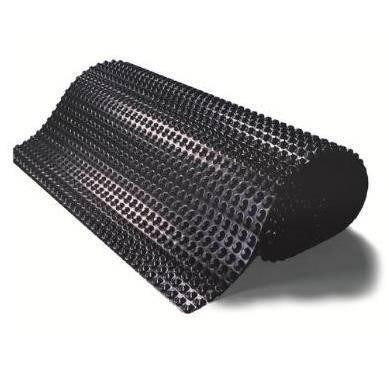 Геомембранная шиповидная Гидроизоляция фундамента геомембранная шиповидная Львов - изображение 3