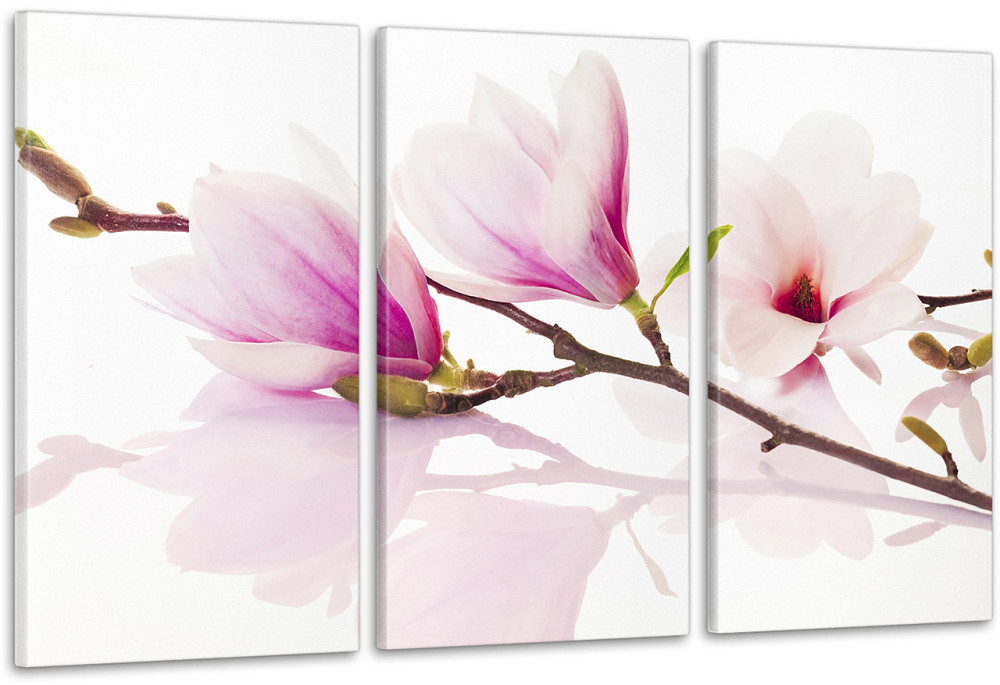 Модульна картина Квіти Art-20_3А Київ - фото 1