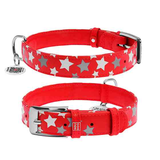 Coastal TOO! Perimeter Stitch КОСТАЛ шкіряний повідець для собак, 1.6смХ1.5м Київ