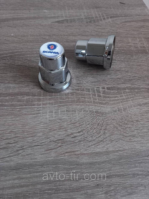Ковпачок пластиковий на гайку 32мм SCANIA нікель Ковпачок пластиковий 32мм SCANIA Луцк - изображение 1