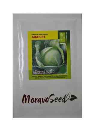 Семена Капуста Авак F1 (100 семян) белокочанная, Moravoseed Винница