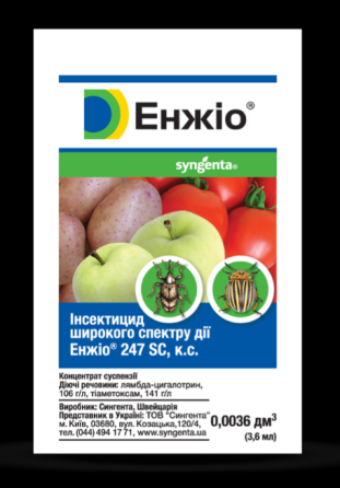 Інсектицид Енжіо 247 SC к.с. 3,6 мл Рівне