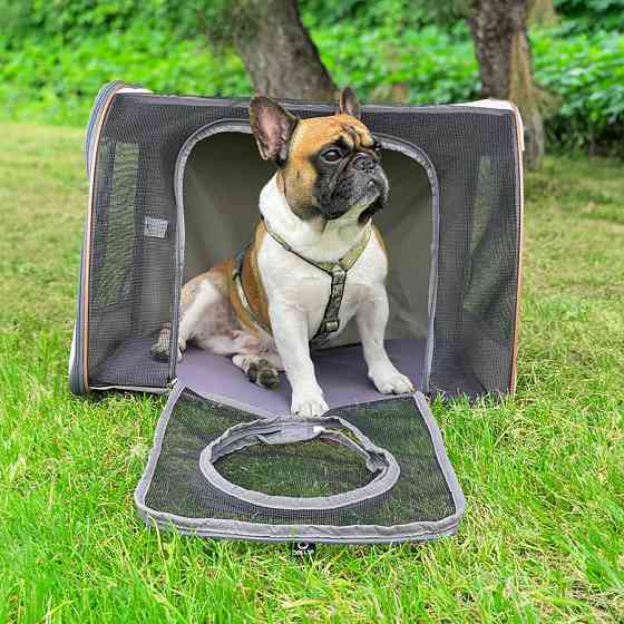 Автокрісло для тварин COLLAR 60*40*45 Київ