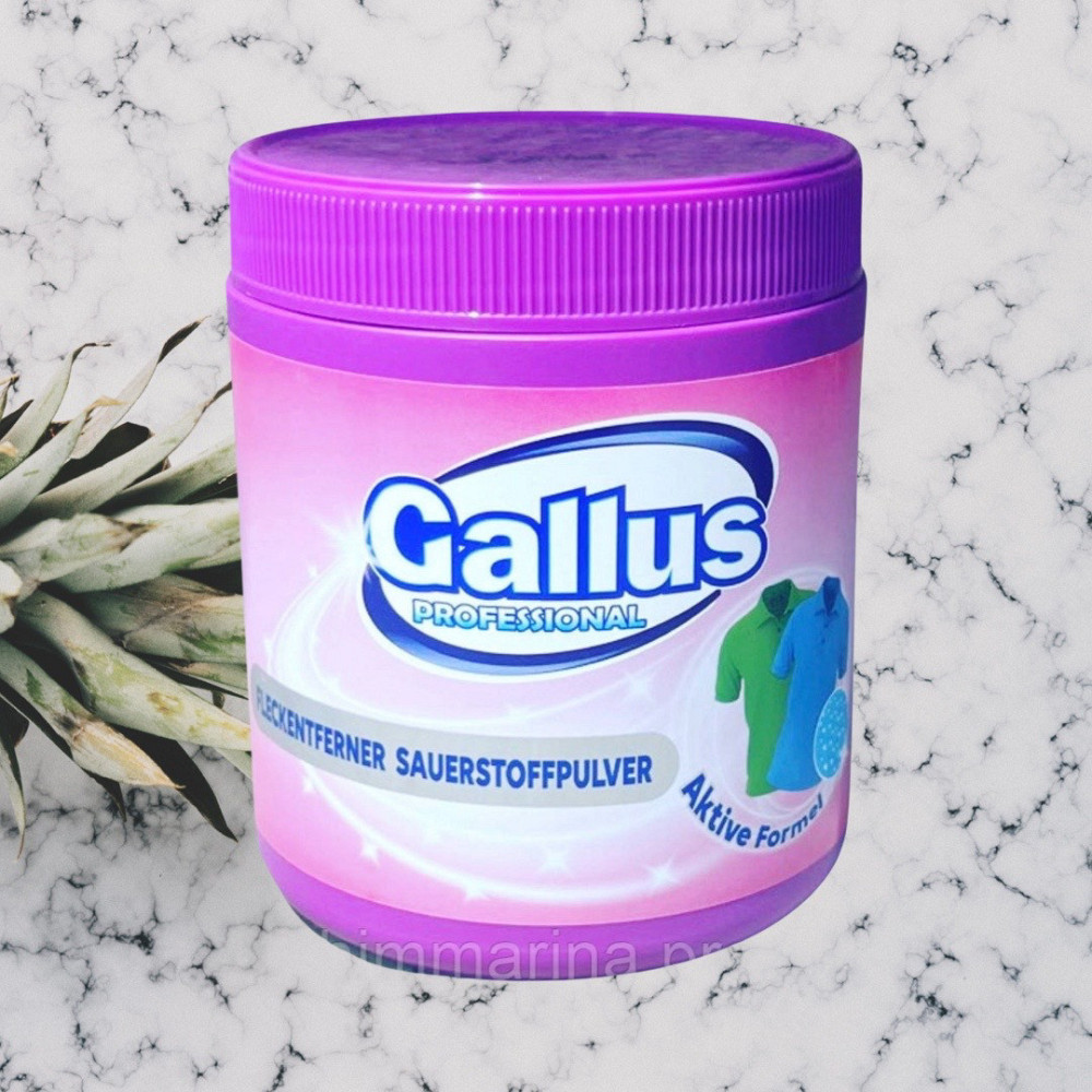 Засіб для видалення плям для кольорових речей Gallus Fleckentferner Sauerstoffpulver Pulver 600 г Виноградов - изображение 1
