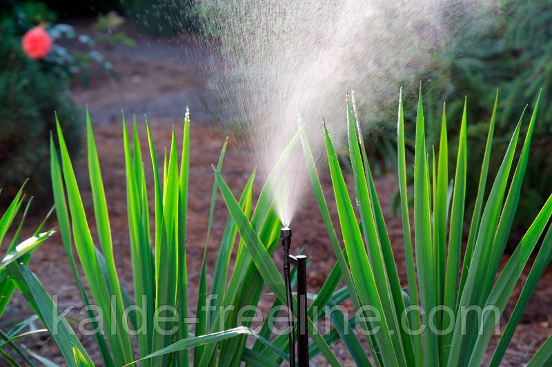 Мікроджет Presto-PS крапельниця для поливу Туманоутворювач одинарний (MJ-1311) Харьков - изображение 4