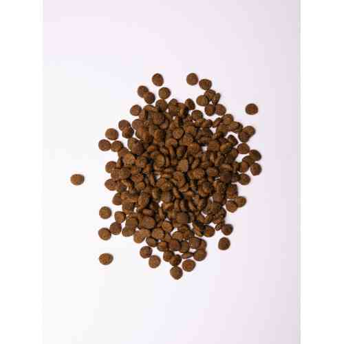 Корм сухий Savory Puppy rich in Fresh Turkey and Chicken для цуценят всіх порід зі свіжою індичкою і куркою 12 кг Київ