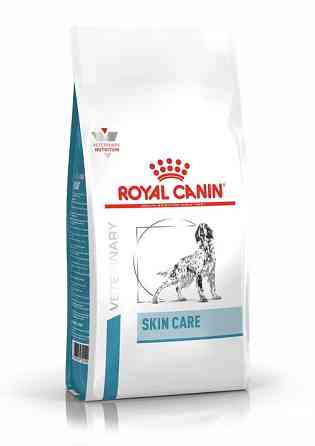Royal Canin Skin Care (Роял Канін Скін Кер) сухий корм для собак у разі дерматозів і випадання шерсті Запоріжжя
