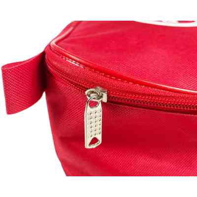 Сумка для аптечки Poputchik 30 х 18 х 11 см (Ф-02-016-IS) Вінниця