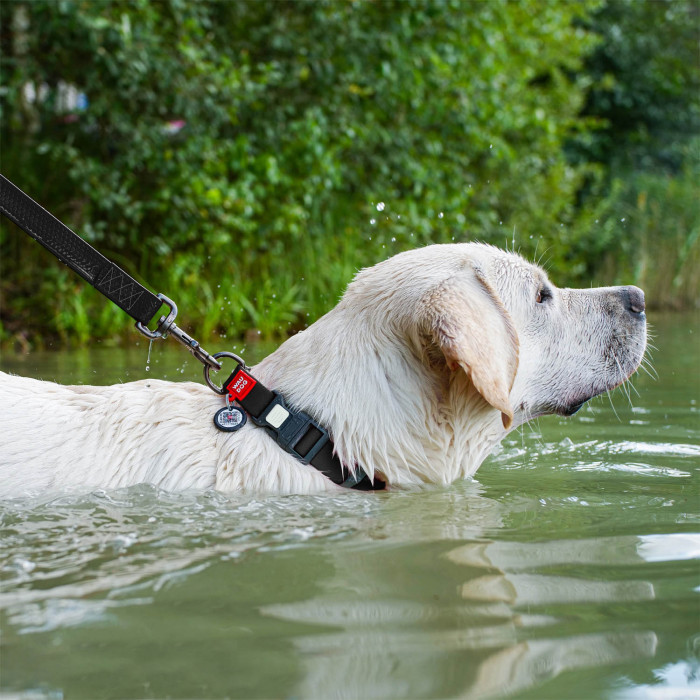 Нашийник для собак WAUDOG Waterproof з QR паспортом, водостійкий, чорний, M (28-40 см), ширина 20 мм Луцьк - фото 2