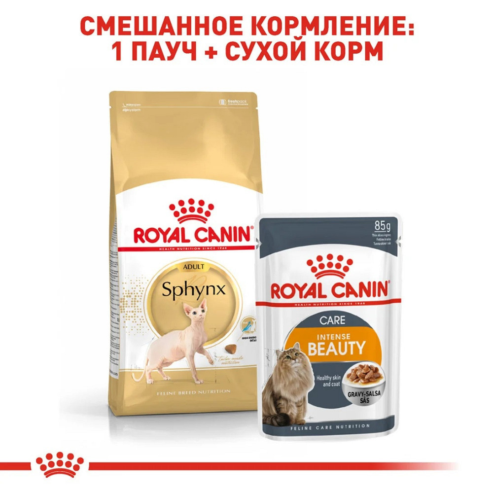 Royal Canin Sphynx Adult (Рояв Канін Сфінкс) сухий корм для котів породи сфінкс від 12 місяців 10 кілограмів. Запоріжжя - фото 7