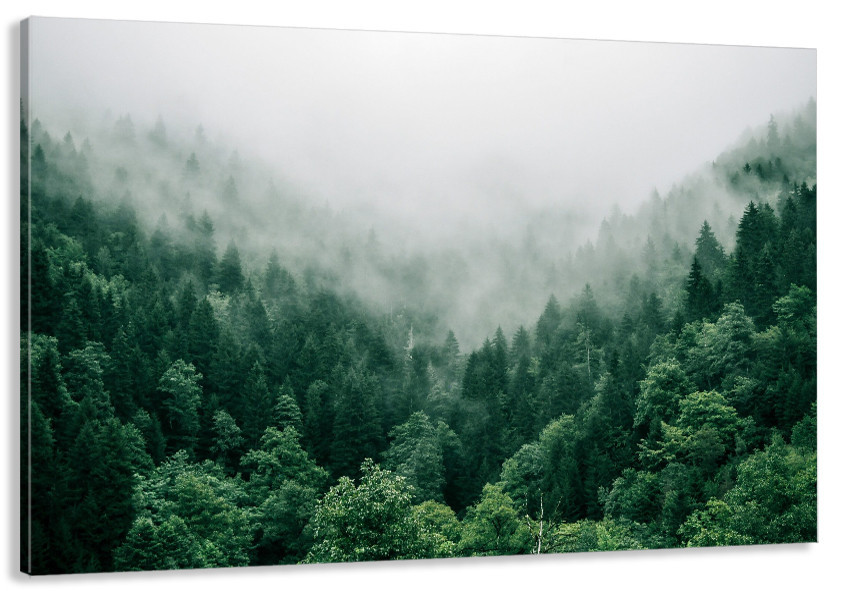Картина холст у вітальню / спальню Лісовий масив    MLP_101  ( 60х30см ) 80x120 см Київ - фото 1