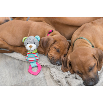 Игрушка для собак Trixie «Junior» Мишка с кольцом 23 см (4011905361772) Винница - изображение 3