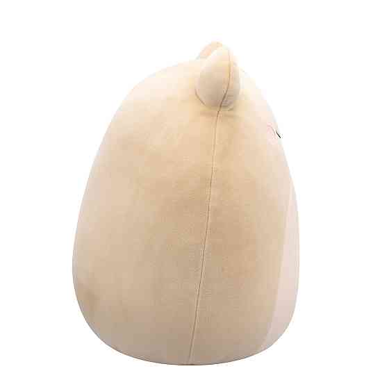 М'яка іграшка Squishmallows – Жабка Де Вітт (30 cm) Днепр