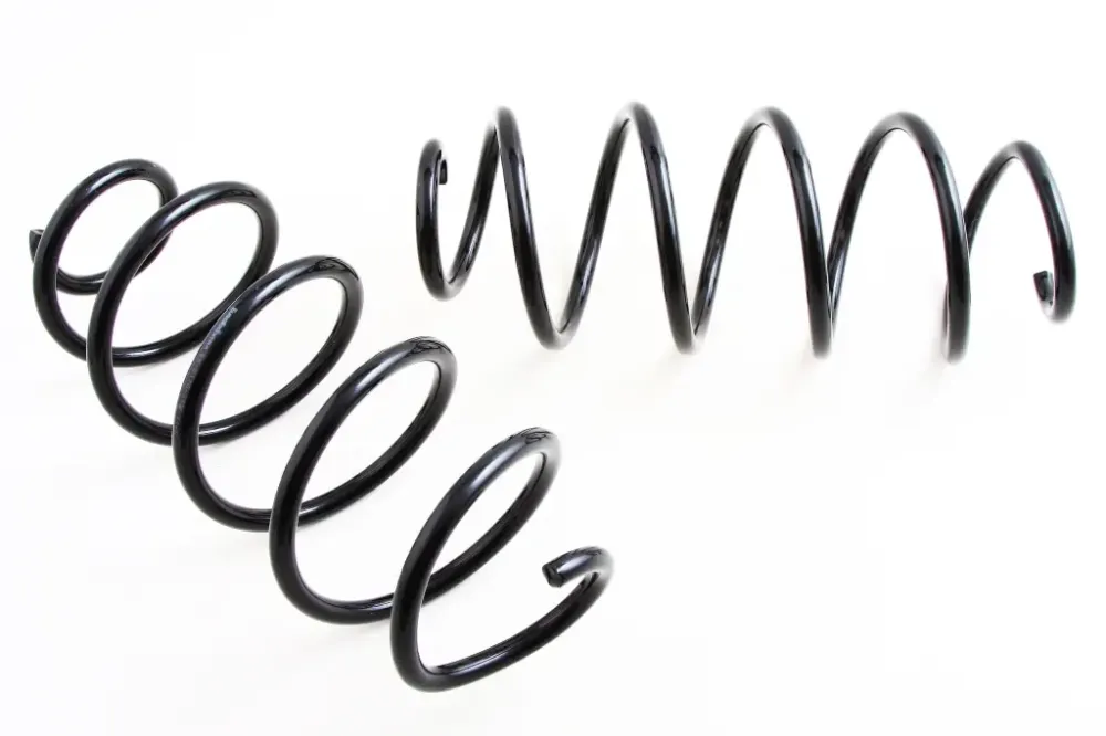 Пружини 2170 передній EuroEx Вінниця - фото 1