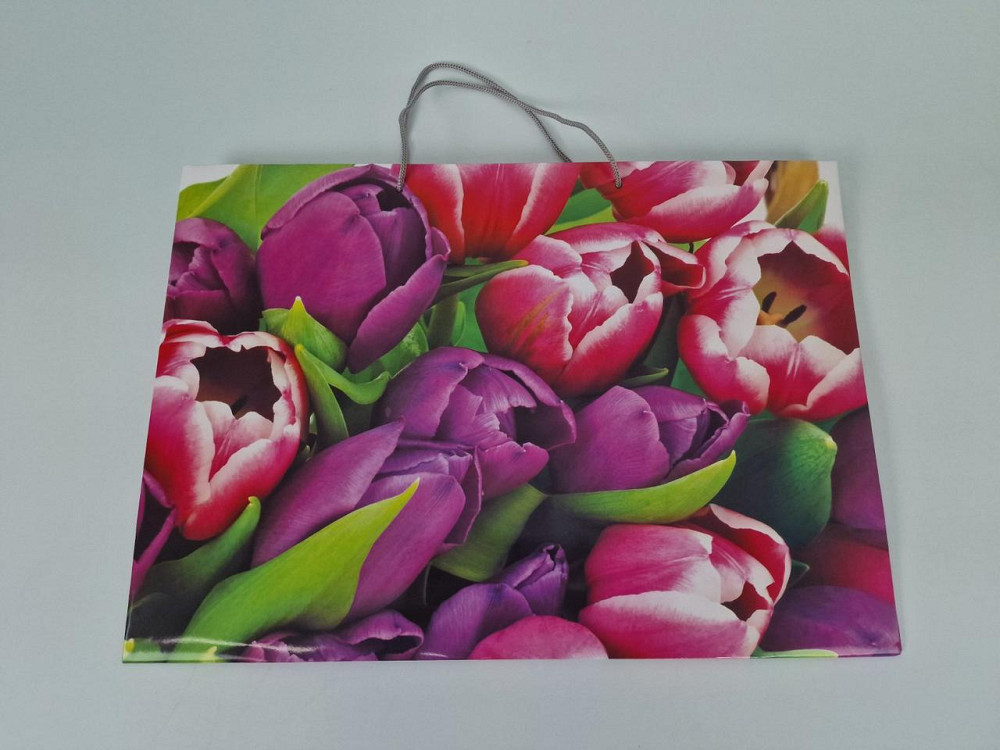 Паперовий пакет горизонтальний гігант 46*33*15 (артGG-018) (12 шт.) Харків - фото 2