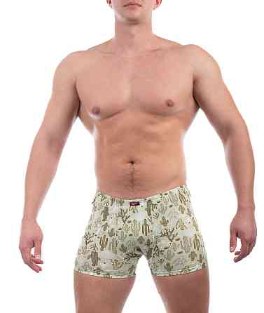 Трусы мужские шорты Bono 950434 46 Киев