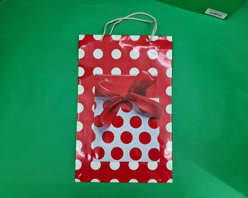 Великий паперовий пакет вертикальний 25/37/8 (артBV-143) (12 шт.) Харків - фото 3