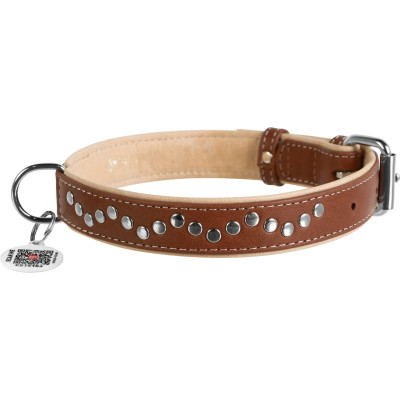 Ошейник для животных WAUDOG Soft с QR паспортом металлические украшения M коричневый (7207) Винница - изображение 2