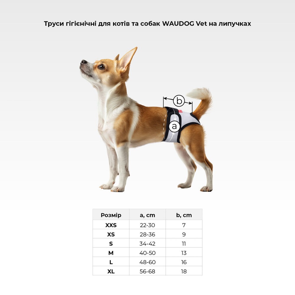 Трусы гигиенические для кошек и собак WAUDOG Vet на липучках, серый, M, А 40-50 см, В 13 см Киев - изображение 3