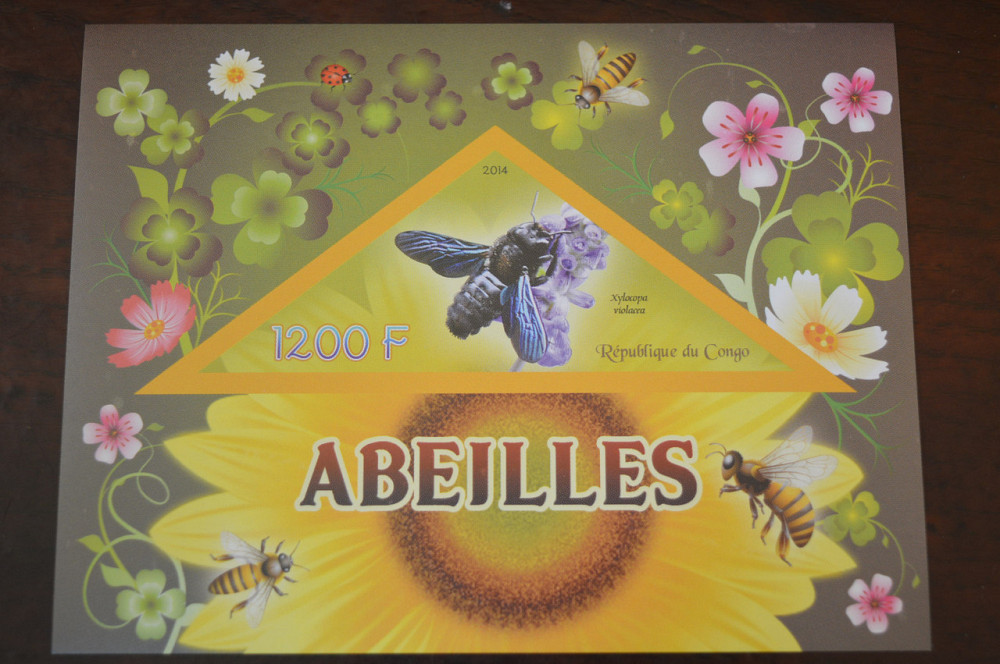 Конго. Фауна. Личности. Блок. 2014 р. (А-34) Полтава - фото 1