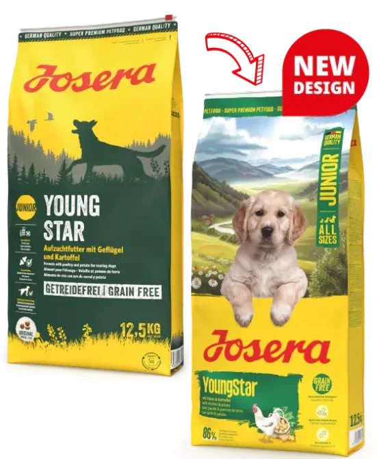 Сухой корм Josera Young Star Junior All Sizes (Йозера ЯнгСтар Юниор) беззерновой корм для щенков и молодых собак 3 кг Винница - изображение 3