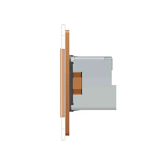 Розумна розетка ZigBee з заземленням Livolo золото (VL-FCTC16AZ-2BP) Коломыя