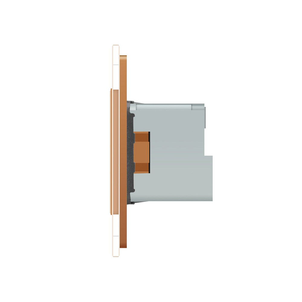 Розумна розетка ZigBee з заземленням Livolo золото (VL-FCTC16AZ-2BP) Коломыя - изображение 2