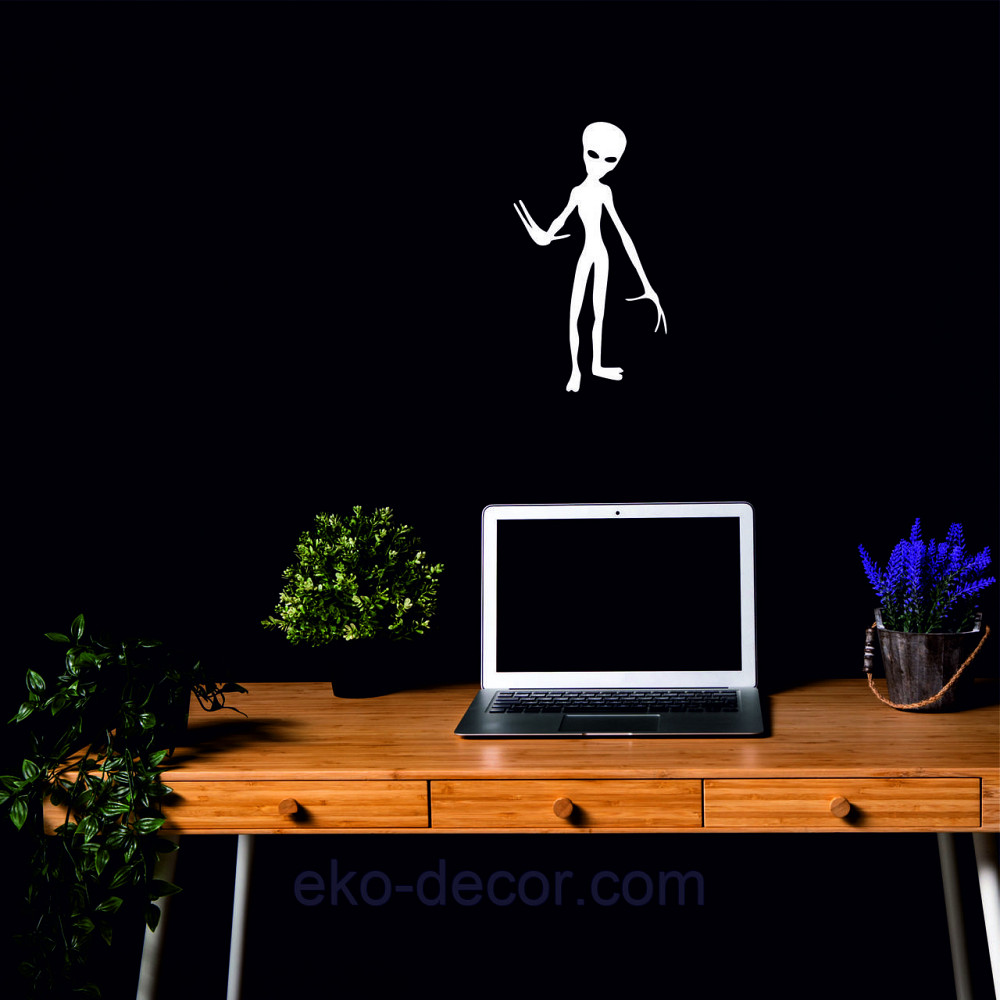 Декоративное настенное Панно «НЛО», Декор на стену 70*39 см, Белый Киев - изображение 4