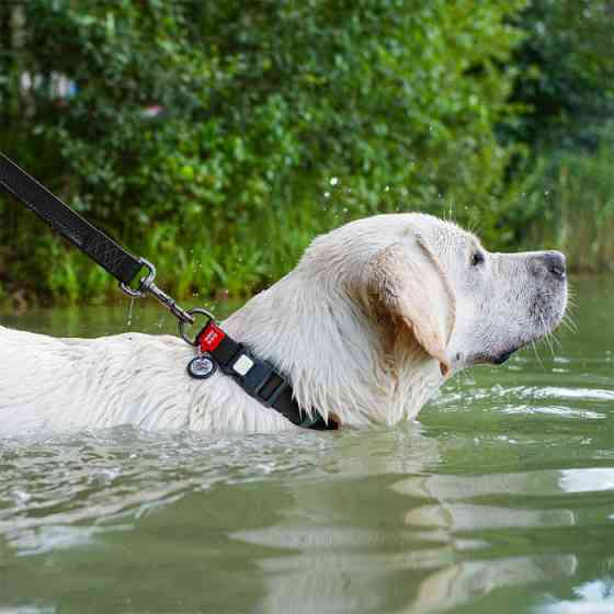 Нашийник для собак WAUDOG Waterproof з QR паспортом, водостійкий, чорний, L (34-49 см), ширина 25 мм Луцк
