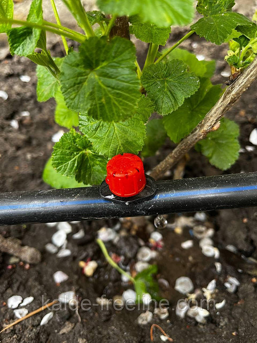 Крапельниця з компенсацією тиску(універсальна) Харків - фото 1