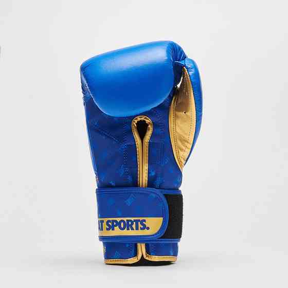 Боксерські рукавиці Leone GN220 DNA Blue 10 унцій Київ