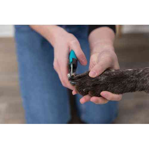 Кігтеріз Trixie Luxe для собак середніх та великих порід з обмежувачем 16 см Київ