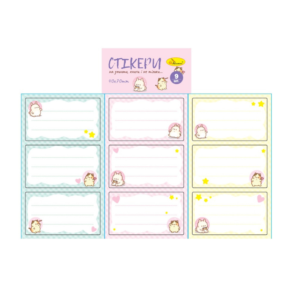 Набір стікерів для зошитів і книг НС-15-6, 9 штук 70х40 мм Вінниця - фото 1