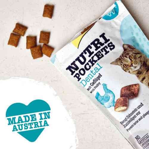 Витаменное лакомство GimCat Nutri Pockets Dental для кошек для зубов 60 г Киев