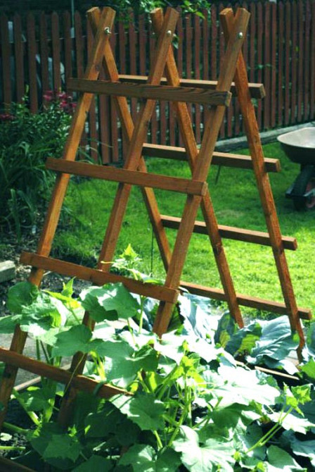 Опора для плетущихся 