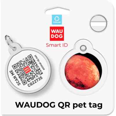 Адресник для животных WAUDOG Smart ID с QR паспортом "Марс", круг 25 мм (225-4031) Винница